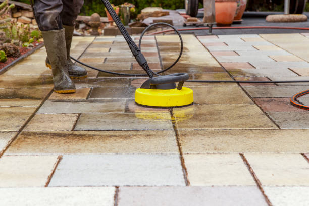 Best Animal Enclosure Cleaning  in Longmont, CO
