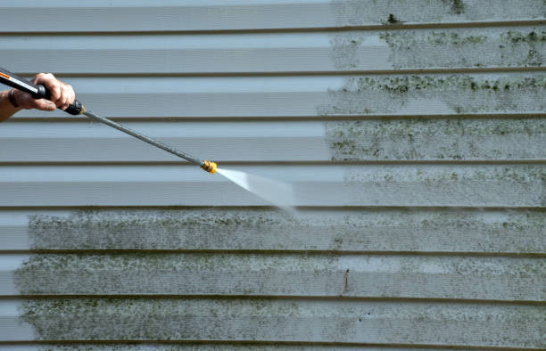 Best Fence Cleaning  in Longmont, CO